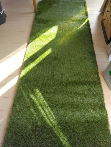 人工芝　リアリーターフ　100×300