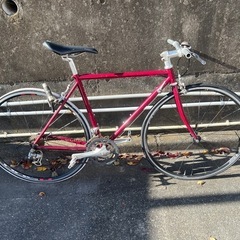VIGOREビゴーレクロモリ自転車
