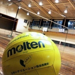 戸田市でソフトバレーを一緒にしませんか❓