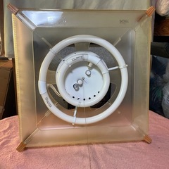 DAIKO 蛍光灯
