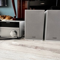 SONY CMT-SBT40