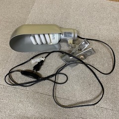 小動物　ライト