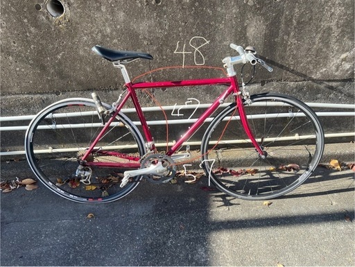 VIGOREビゴーレクロモリ自転車
