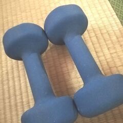 PROIRON ダンベル　4kg　ブルー