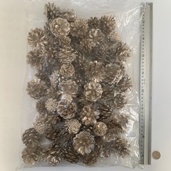  松ぼっくり　プラチナシルバー　約680g