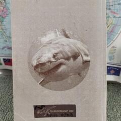 中古美品　講談社の動く図鑑move 危険生物超（スーパー）クイズ図鑑の画像