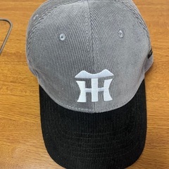 阪神タイガースファン感謝デー 　コーデュロイキャップの画像