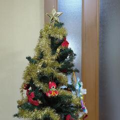 受付再開 クリスマスツリーの画像