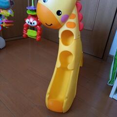 トドラージムの画像