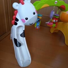 トドラージムの画像