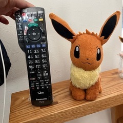 イーブイの画像