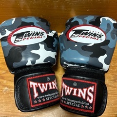 TWINS　ボクシンググローブの画像