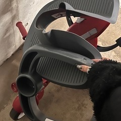 RADIOFLYER 三輪車　コストコ　美品の画像