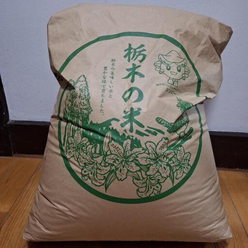 令和5年コシヒカリです。