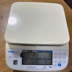 決定‼️♦️大和製衛料金はかり♦️