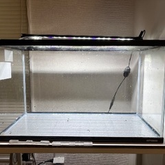 水槽