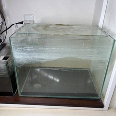 ガラス水槽