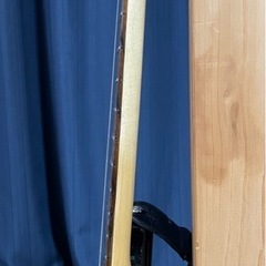 BUSKER'S  ギターの画像