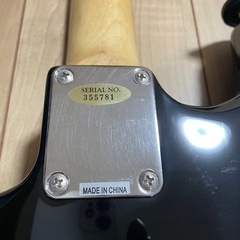 BUSKER'S  ギターの画像