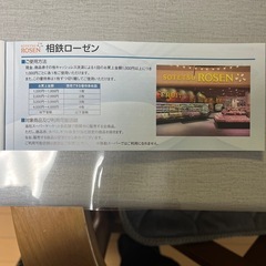 相鉄ホールディングス株　株主優待券の画像