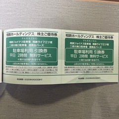 相鉄ホールディングス株　株主優待券の画像