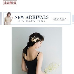 【値下げ不可】前撮りセット(黒ドレス、造花、アイロン)の画像