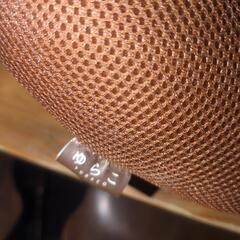 【取引先決定】姿勢矯正 骨盤矯正 ゆらこ ブラウンの画像