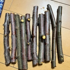 栗とりんごのかじり木セットの画像