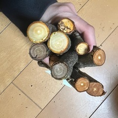 栗とりんごのかじり木セットの画像