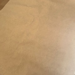 【無料】雲肌麻紙(ドーサ引き）の画像