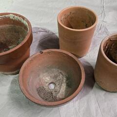 プランター色々の画像