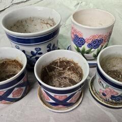 プランター色々の画像