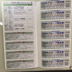 ANAグループ優待券の画像