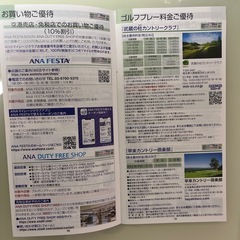ANAグループ優待券の画像