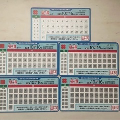 岐阜バス【乗り放題！】 昼得きっぷ 5枚セット 有効期限2024...
