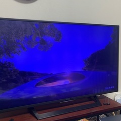 SONY BRAVIA49インチとHDD搭載Blu-rayレコーダー