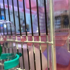 ハムスターゲージ🐹三階建！値引きの画像