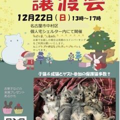 猫の譲渡会&プチマルシェ12/22(日) 名古屋市 中村区 