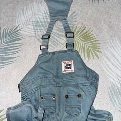小型犬用洋服の画像