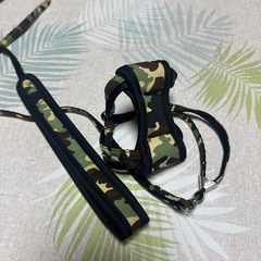 小型犬用リード