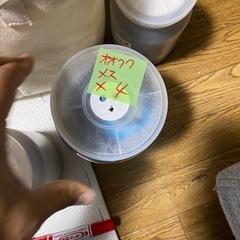 決まりました！本日限り‼️クワガタ成虫、幼虫各種‼️の画像