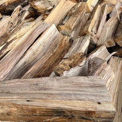 緊急値下げ　未乾燥薪　軽トラ一杯分　 主にナラたまに野桜、カシの木 の画像