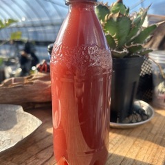 特濃 PSB 500ml