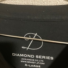 AVALANCHE Tシャツの画像