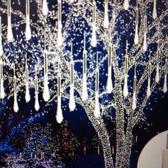 USB駆動の流星群LEDフェアリーライト の画像