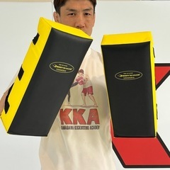 BODY MAKER キックミット