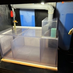 年内までならお安く 900✖️450オーバーフロー水槽セット