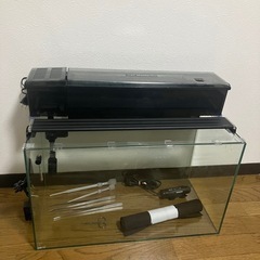 ＧＥＸ水槽