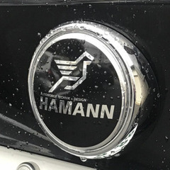 BMW　X6Mの画像