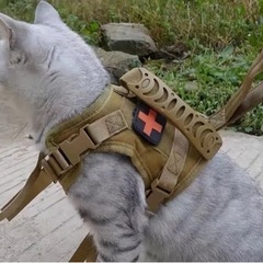 キャットハーネス